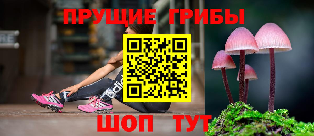 Галлюциногенные грибы Magic Shrooms Каменск-Уральский